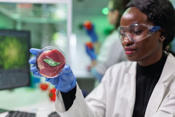 Comment préparer des lasagnes végétariennes aux épinards et ricotta ?