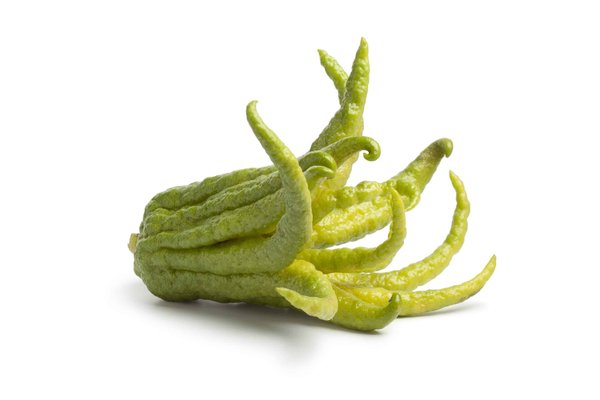 Comment réussir un cake au citron moelleux et glaçage citronné ?